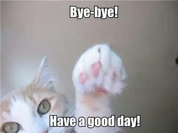 Ảnh goodbye meme sáng tạo, làm phút chia tay thêm thú vị.