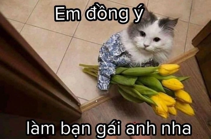 Bông hồng meme tặng hoa mang đến sự ngọt ngào không ngờ.