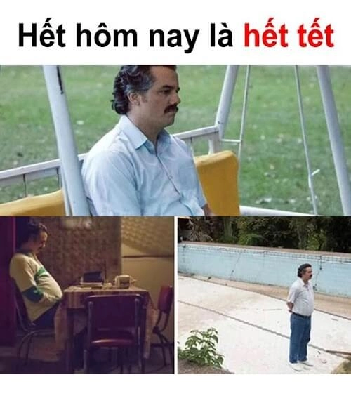 Những ảnh meme hài hước khiến ngày của bạn trở nên vui vẻ hơn.