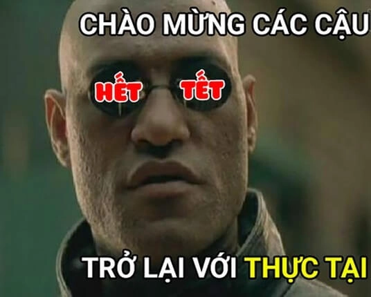 Khám phá meme hài gốc siêu thú vị và hài hước.