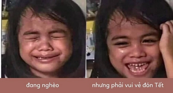 Những ảnh hài meme độc đáo mang lại tiếng cười sảng khoái.