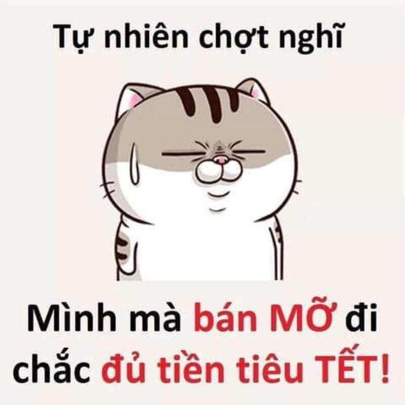 Khám phá ngay hài hước cute ảnh người que meme, cực kỳ vui nhộn.