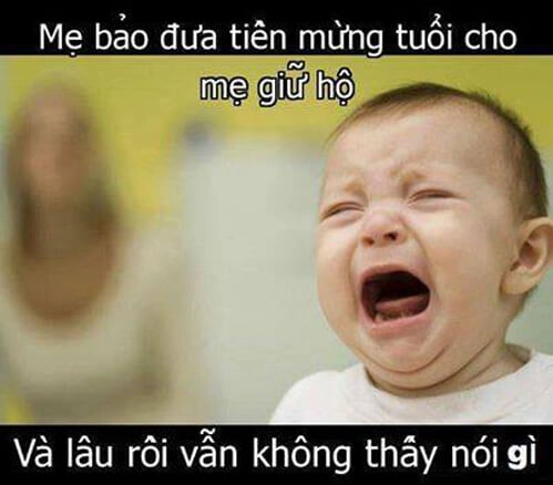 Ảnh meme hài mèo khiến bạn không thể nhịn cười.