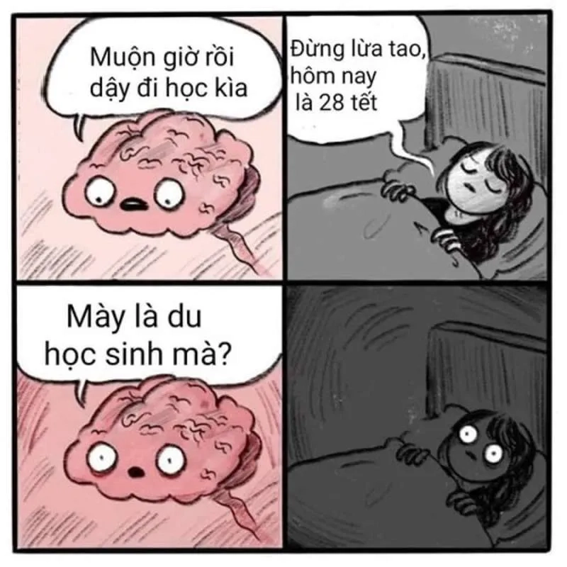 Cùng khám phá meme chuột hamster hài, siêu đáng yêu và hài hước.