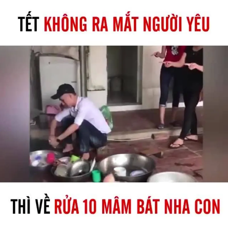 Những ảnh meme hài chó sẽ khiến bạn cười thả ga.