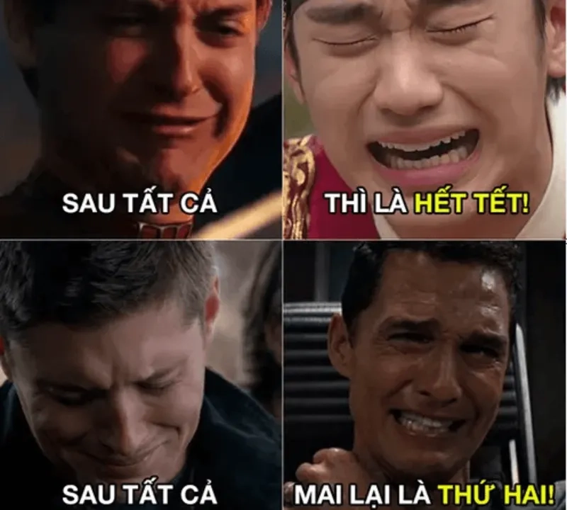 Hình nền meme hài hước cực kỳ thú vị và vui nhộn.