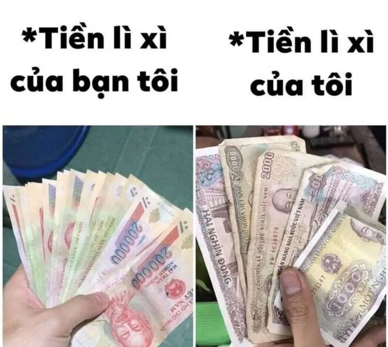 Biểu cảm của mèo hài meme khiến ai cũng phải cười.