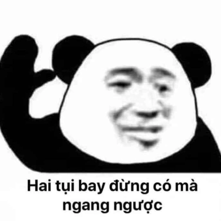 Meme mèo trắng này cực kỳ dễ thương và mang lại sự vui nhộn.