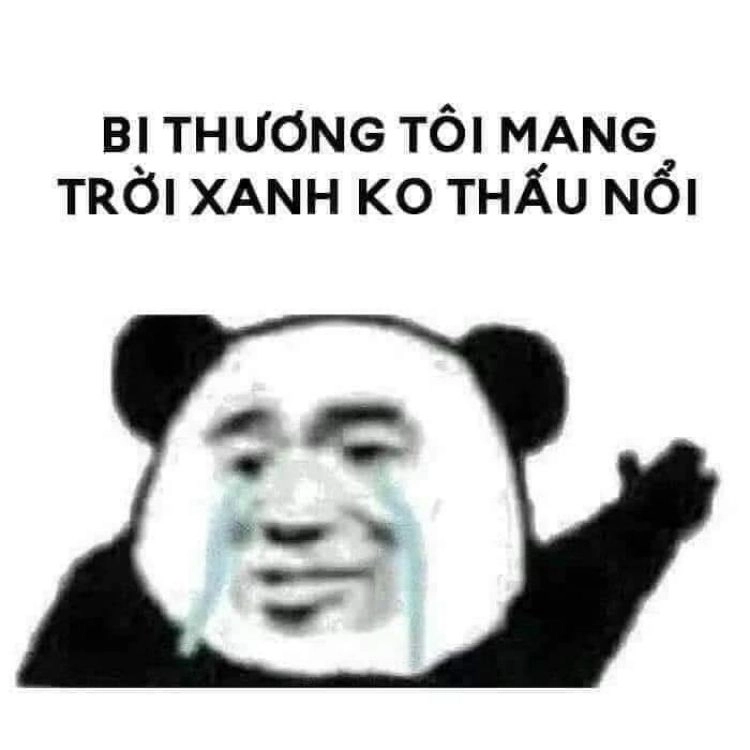 Meme nằm khóc này cực kỳ dễ thương và gây cười không ngừng.