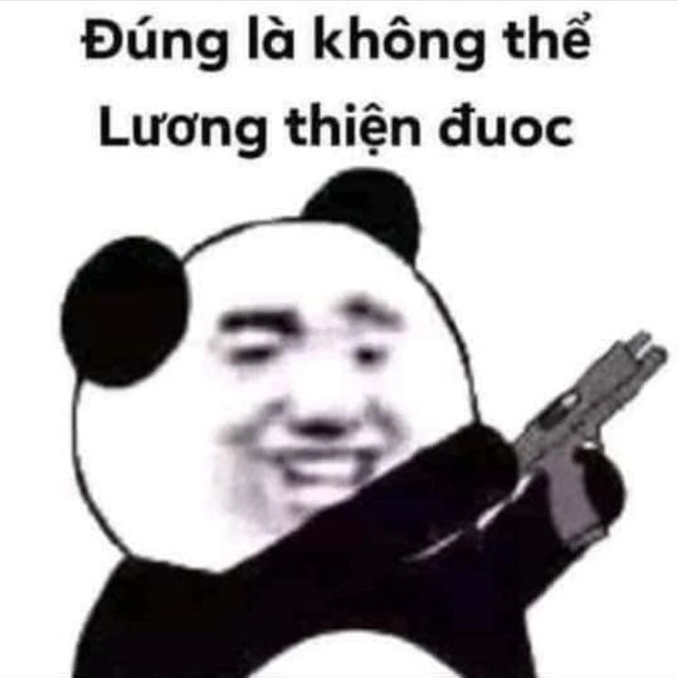 Meme con gấu trung quốc này cực kỳ dễ thương và thú vị.