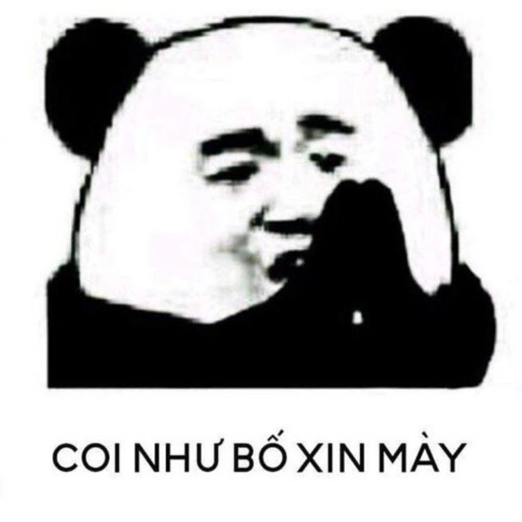 Meme mèo có chữ này mang lại sự thú vị và rất đáng yêu.