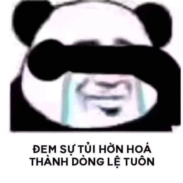 Meme mèo có chữ này mang lại sự thú vị và rất đáng yêu.