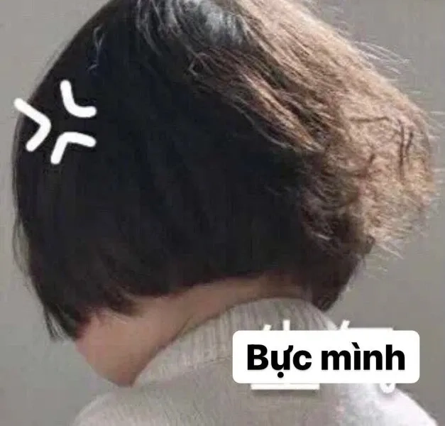 Biểu cảm đáng yêu trong meme nổi giận làm bạn thích thú.