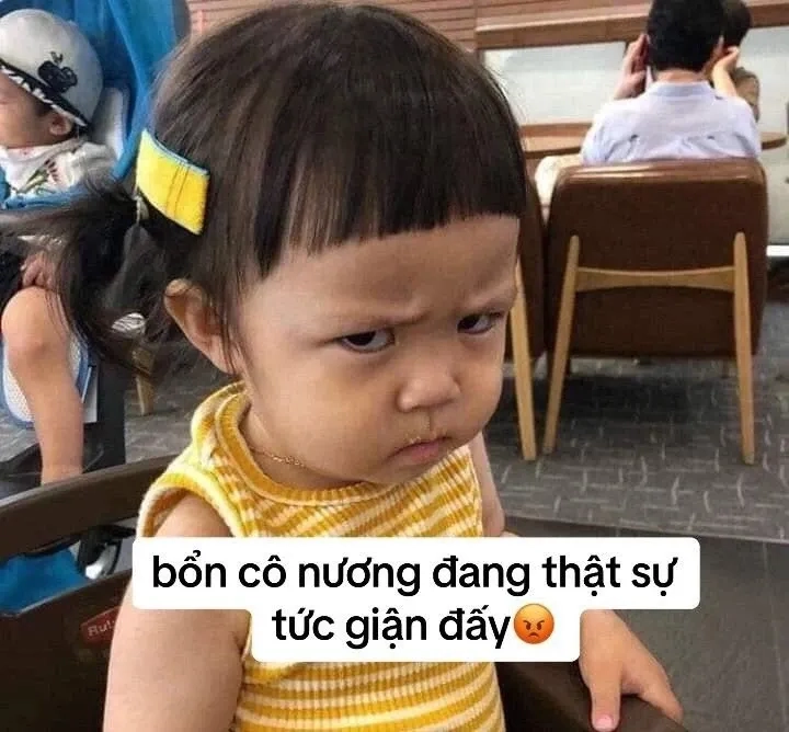 Những meme giận hờn đáng yêu và thú vị làm tan chảy mọi trái tim.