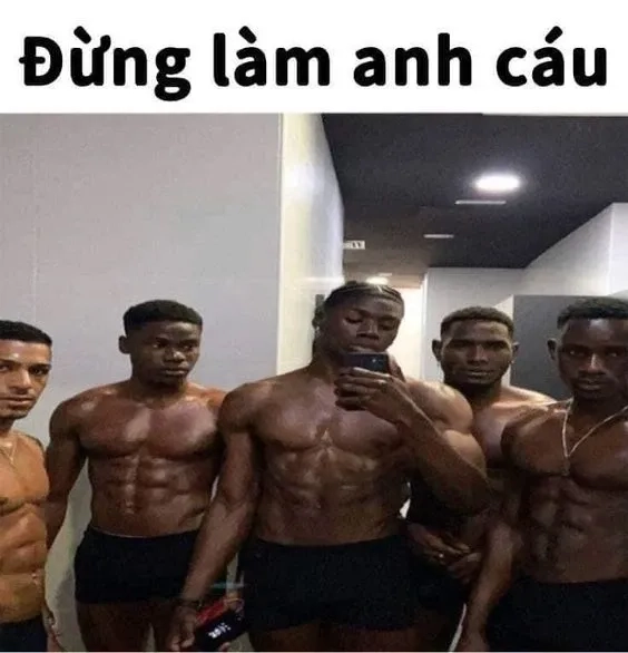 Những chế meme việt nam sáng tạo và đầy hài hước.