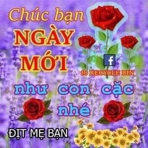 Xem ngay ảnh meme troll việt nam bá đạo.