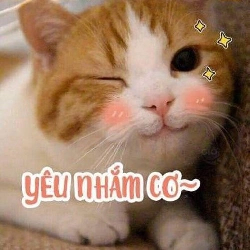 Meme chúc ngủ ngon cute luôn khiến người nhận cảm thấy ấm áp và vui vẻ.