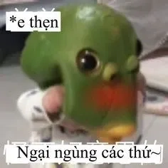 Thỏa sức cười cùng những meme cười ngại độc đáo.