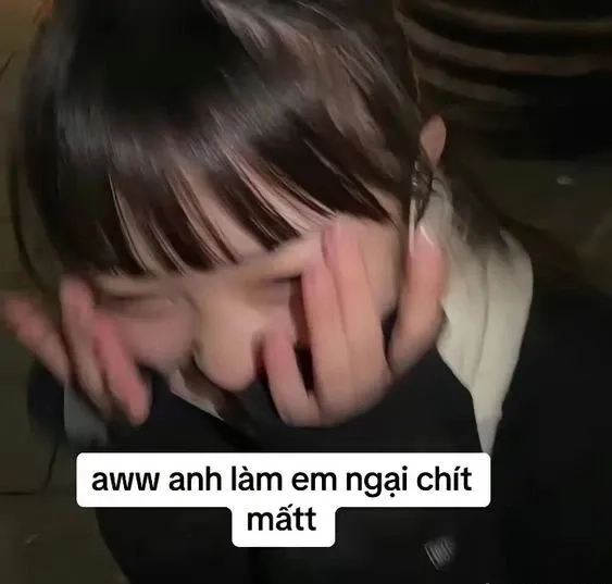 Xem ngay bộ sưu tập mèo ngại meme đáng yêu.