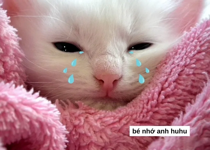 Meme yêu em dễ thương, thể hiện tình cảm ngọt ngào.