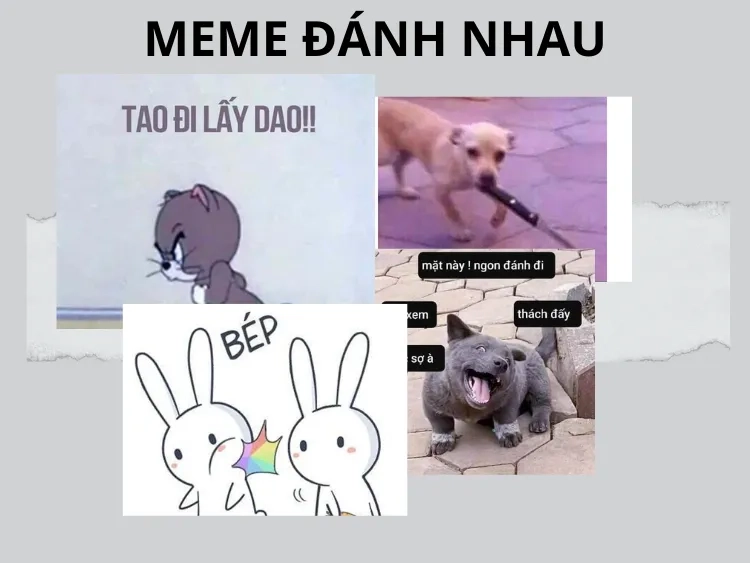 Meme đánh thức này khiến bạn cảm thấy vui nhộn và dễ chịu.