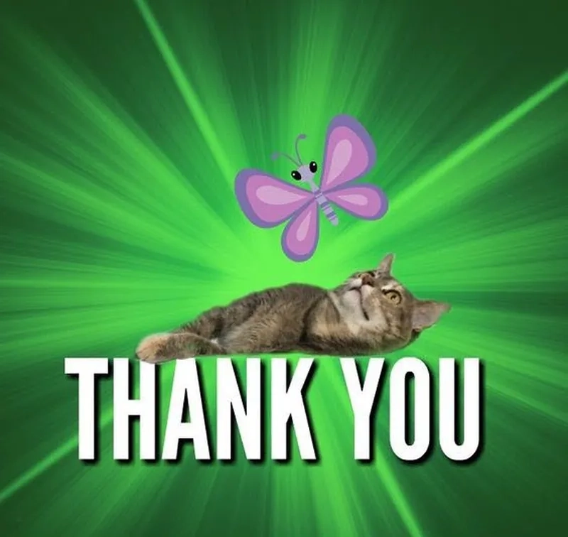 Thank you gif meme này chắc chắn sẽ khiến bạn không thể ngừng cười vì sự dễ thương.