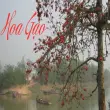 Tìm hiểu nguồn gốc và nét đẹp của loài hoa gạo Việt Nam