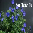 Vẻ đẹp hoa thanh tú mang đến sự thư thái cho vườn nhà