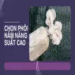 Trồng nấm bào ngư tại nhà- Tôi đã thu hoạch mỏi tay thế nào?