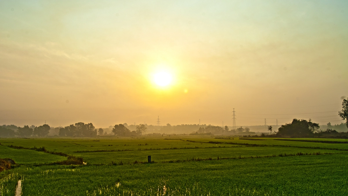 Hình ảnh bầu trời bình minh lấp lánh như giấc mơ