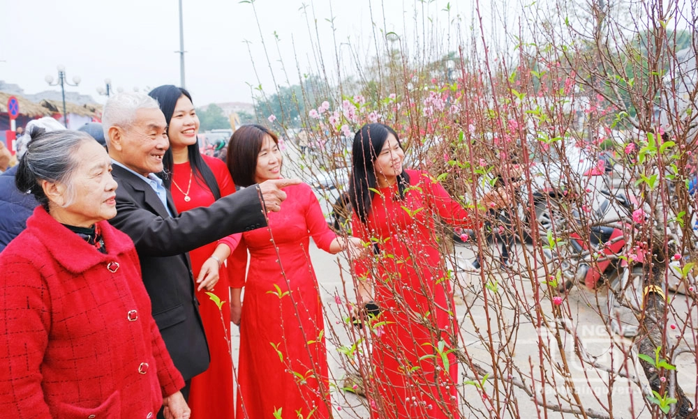 Hoa xuân rộn ràng trong ảnh chợ đào tết