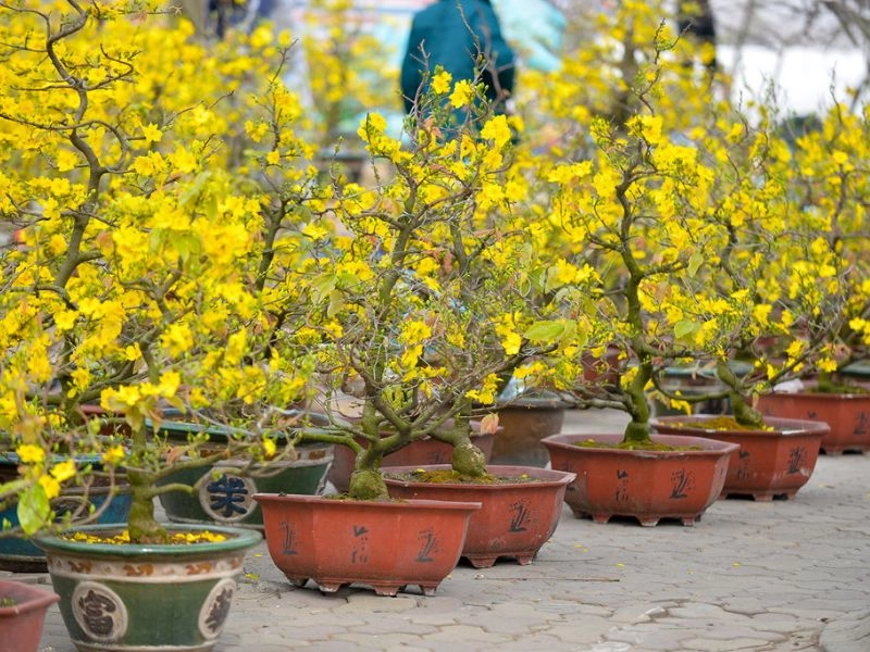 Kỷ niệm xuân vừa qua là hình ảnh chợ tết 2024