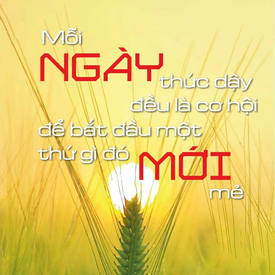 Bức ảnh truyền tải ảnh nỗ lực cố gắng vượt qua giới hạn
