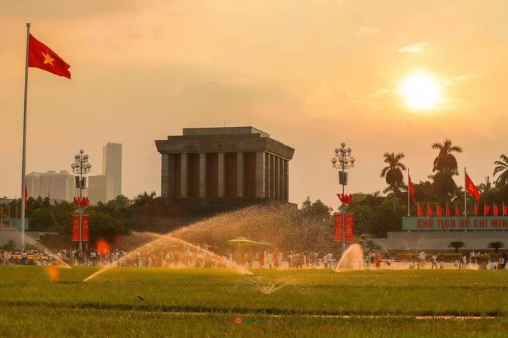 hình ảnh lá cơ việt nam một biểu tượng không thể thay thế