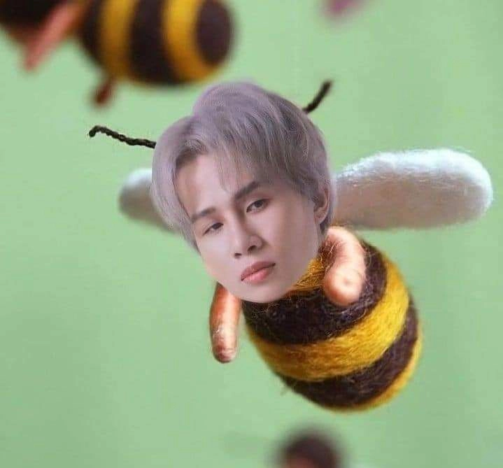 ảnh avatar hài hước cute tạo nên màu sắc tươi vui ảnh hài hước