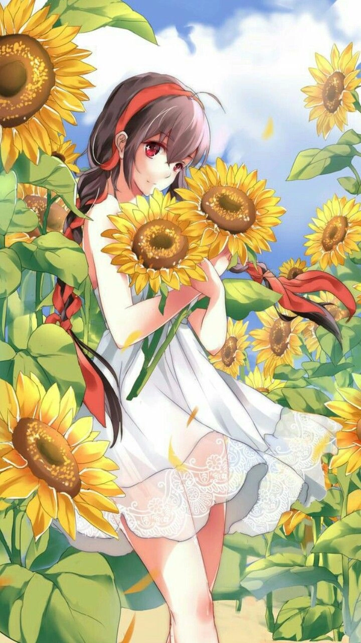 Hoa hướng dương vàng lan tỏa nguồn năng lượng tốt