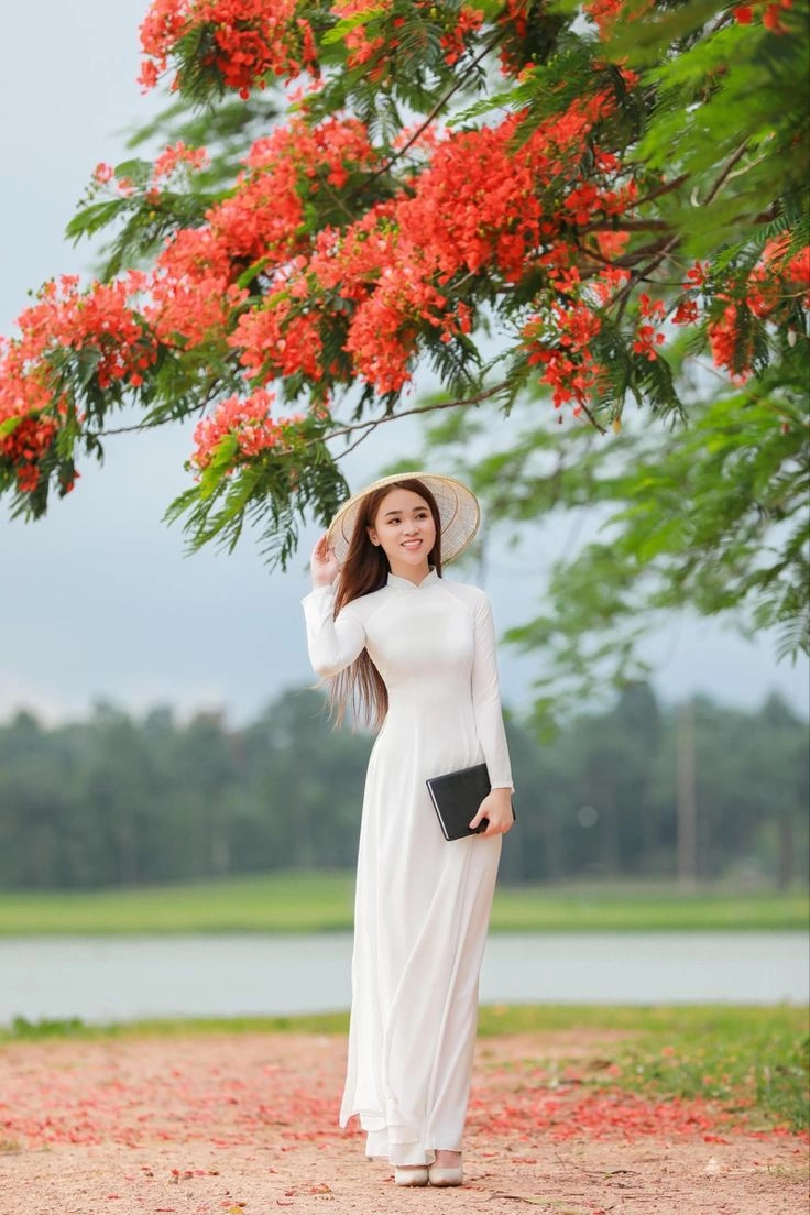 hình ảnh hoa phượng trong sân trường là biểu tượng mùa chia tay