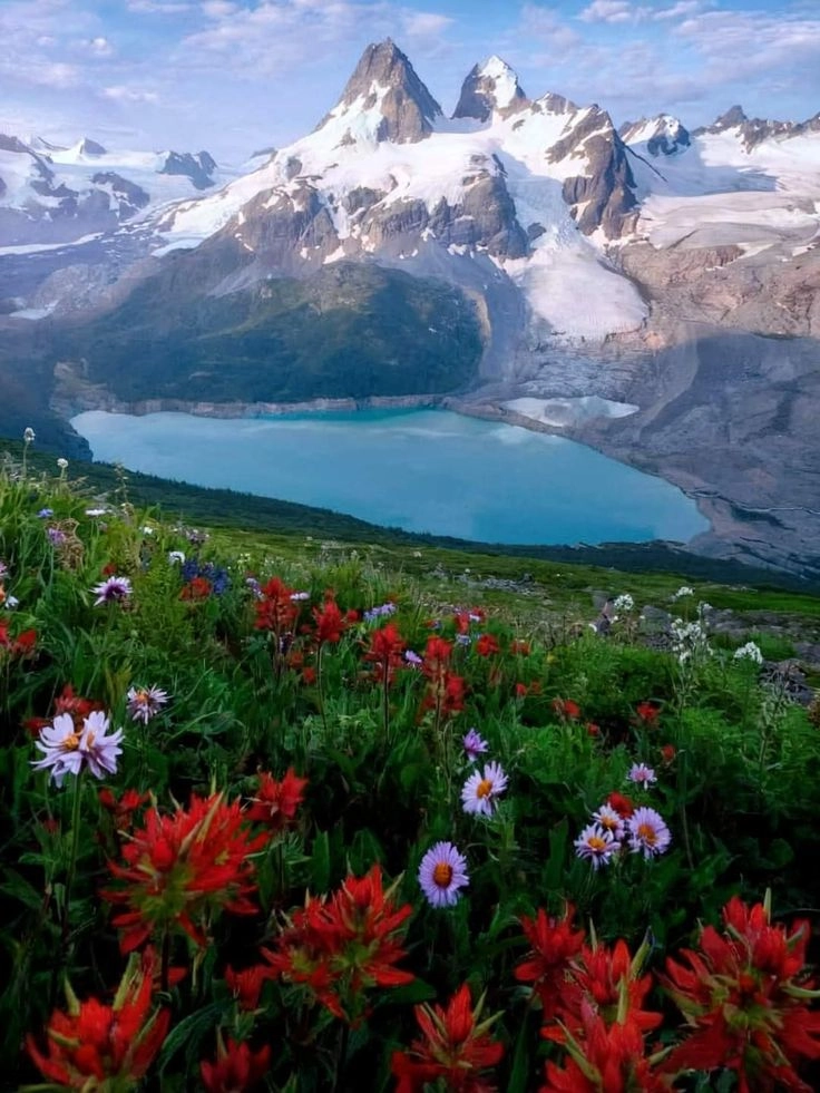 Hòa mình vào vẻ đẹp của hình ảnh đồi núi