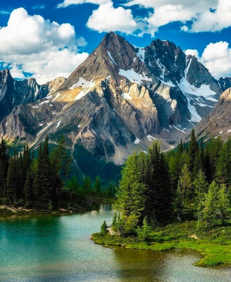 Tìm thấy sự yên bình từ ảnh núi rừng đẹp