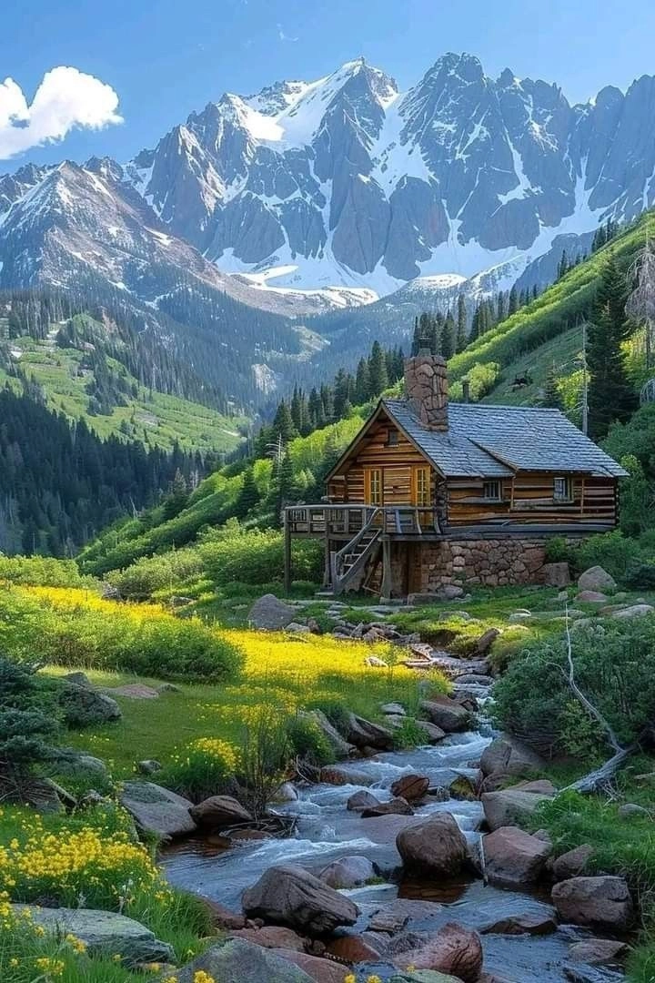 Đắm chìm cảnh rừng qua hình ảnh núi rừng hoang sơ