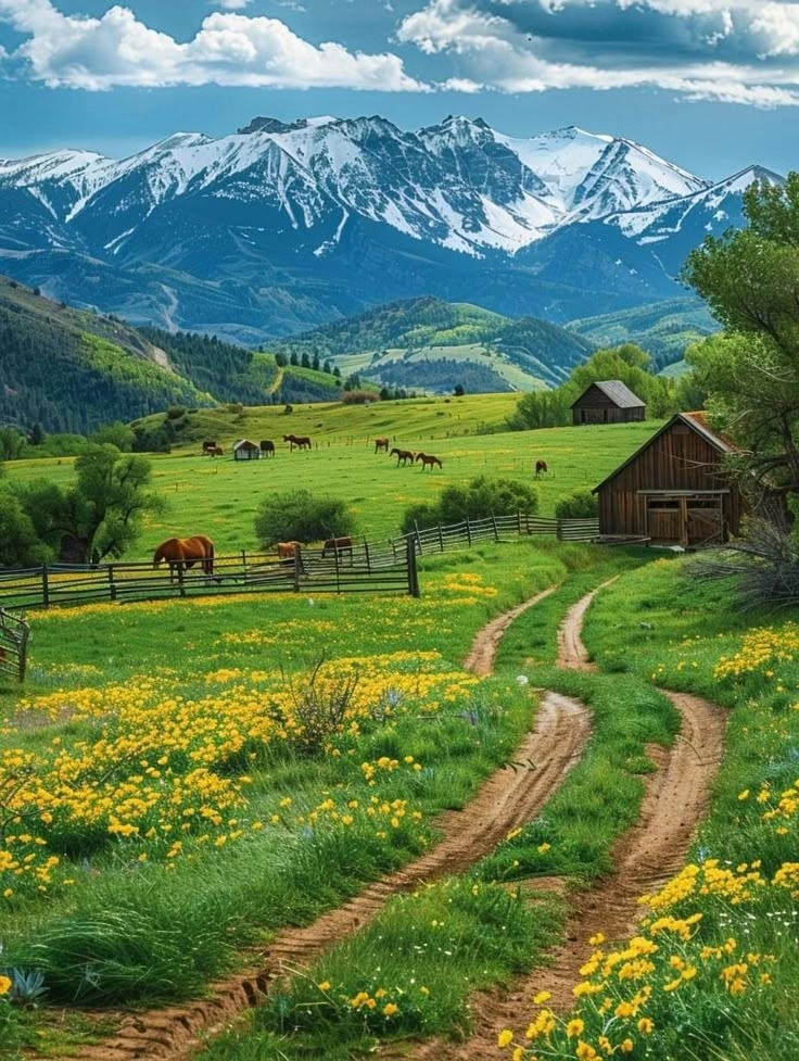 Hít thở trong lành từ hình ảnh ngọn núi đẹp