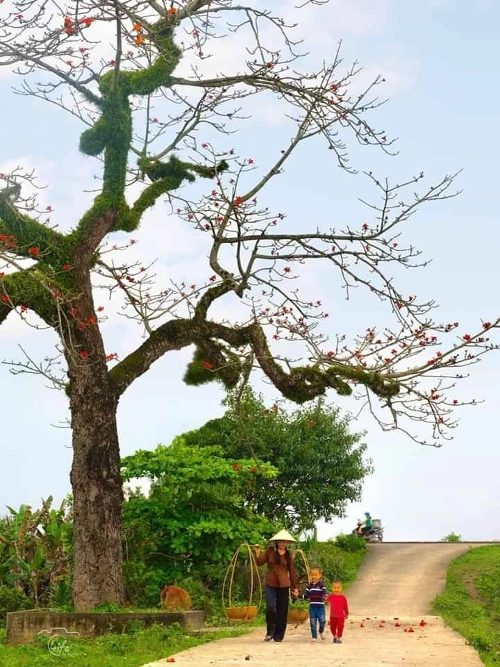 Ảnh quê hương đất nước thể hiện sức sống tươi mới mỗi ngày