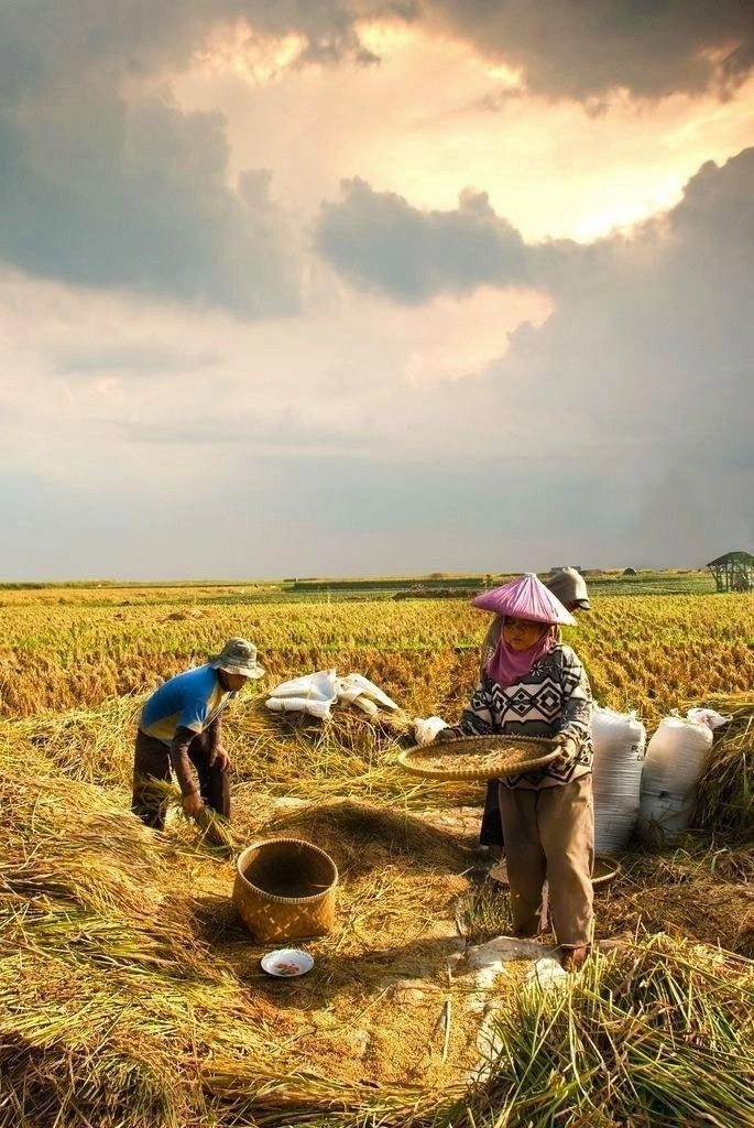 Hình ảnh quê hương ngày xưa gợi nhớ bao ký ức ngọt ngào