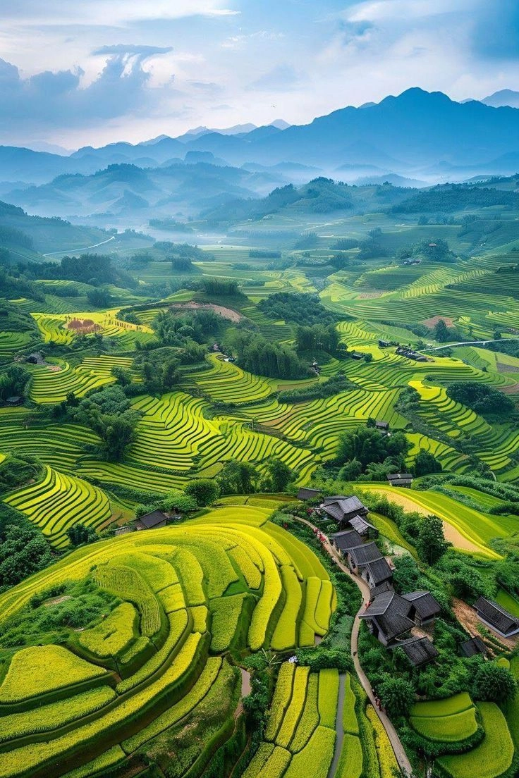 Ảnh quê hương việt nam tràn đầy sắc màu và tình cảm đậm đà