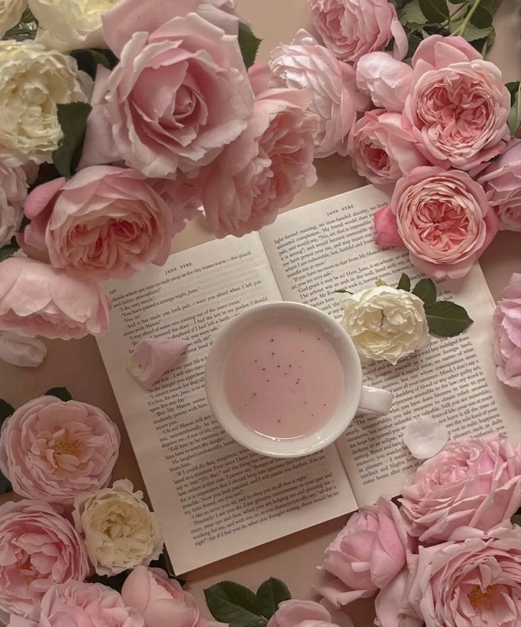 Cuốn hút đến từng chi tiết hình ảnh những quyển sách đẹp