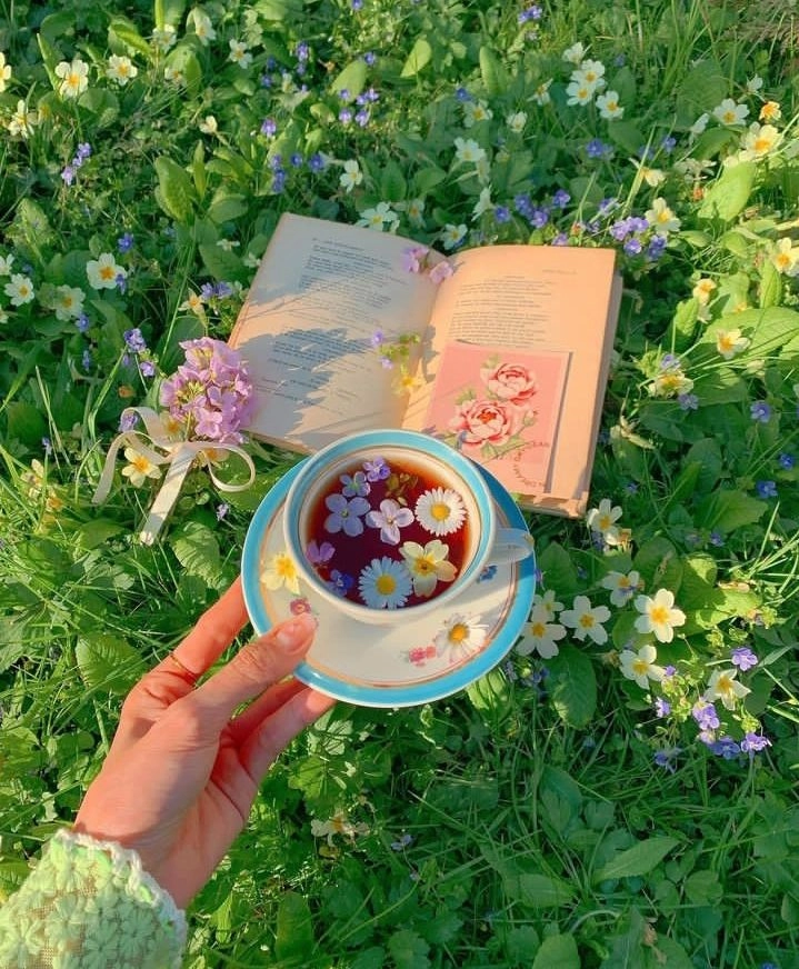 Khoảnh khắc lặng yên bên ảnh đọc sách đẹp