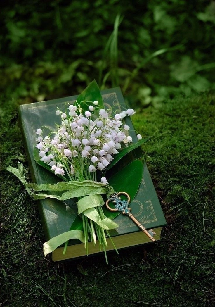 Đẹp từ từng trang giấy hình ảnh cuốn sách đẹp