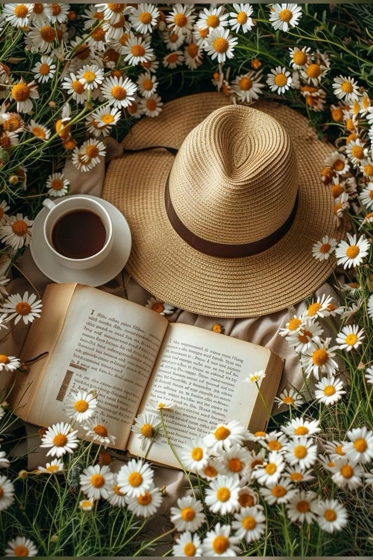 Kho báu hình ảnh từ những hình ảnh sách đẹp