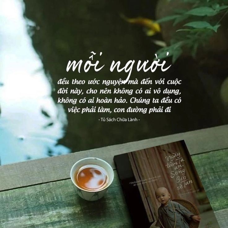 ảnh đẹp ý nghĩa về cuộc sống giúp bạn cảm nhận sâu sắc cuộc sống