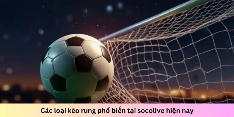 Có nhiều loại kèo cược rung đa dạng cho anh em lựa chọn